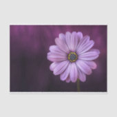 Paarse ventilator in Bloom Tissuepapier (Voorkant)