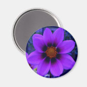 Paarse ventilator in Dusk Magneet (Voorkant / Achterkant)