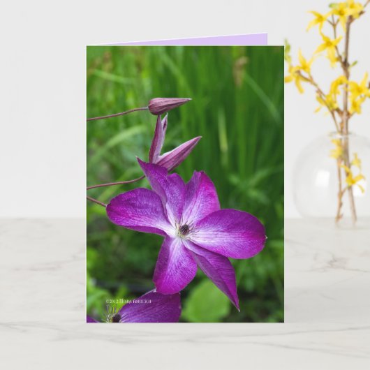 Paarse ventilator kaart (Gele Bloem)