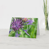 Paarse ventilator kaart (Voorkant)