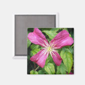 Paarse ventilator magneet (Voorkant / Achterkant)