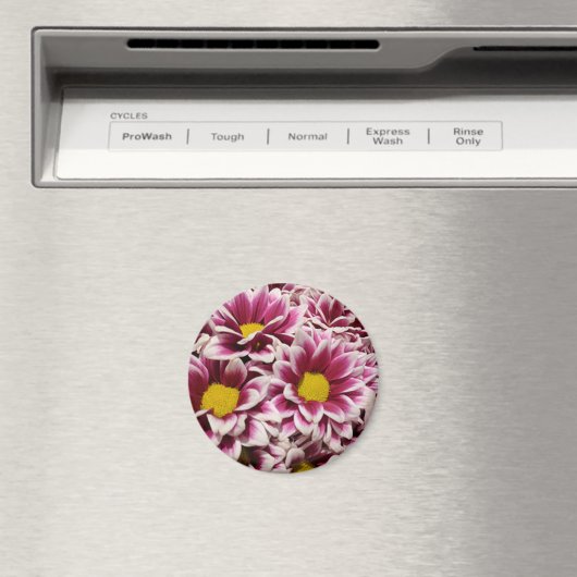 Paarse ventilator magneet (Insitu (Vaatwasser))