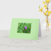 Paarse ventilator op groen blanco kaart (Gele Bloem)