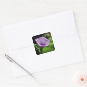 Paarse ventilator op groene achtergrond vierkante sticker (Envelop)