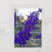 Paarse ventilator op zonsondergang bedankkaart (Voorkant / Achterkant)