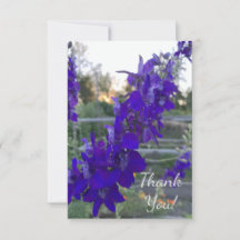 Paarse ventilator op zonsondergang