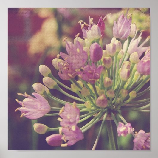  Paarse ventilator Poster (Voorkant)