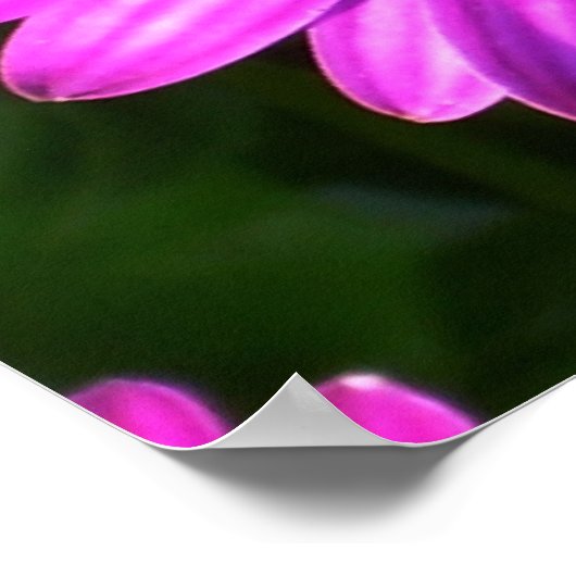 Paarse ventilator poster (Hoek)