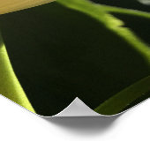 Paarse ventilator poster (Hoek)