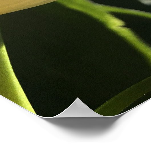 Paarse ventilator poster (Hoek)