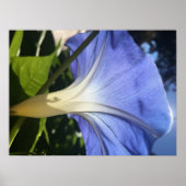 Paarse ventilator poster (Voorkant)