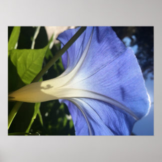 Paarse ventilator poster