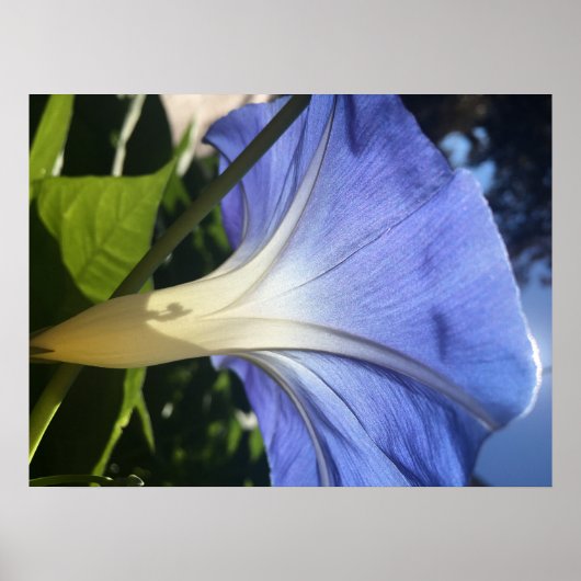 Paarse ventilator poster (Voorkant)