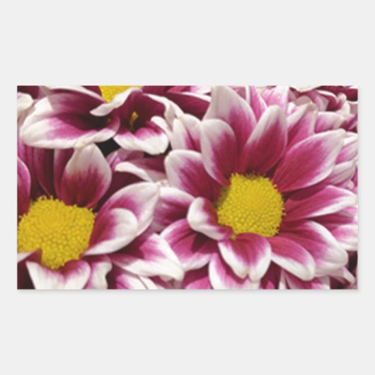 Paarse ventilator rechthoekige sticker (Voorkant)