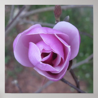 Paarse ventilatorafdruk poster