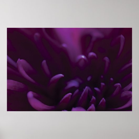 Paarse ventilatorfoto poster (Voorkant)