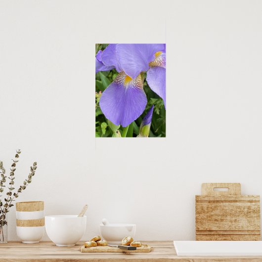  Paarse ventilatorfoto Poster (Keuken)