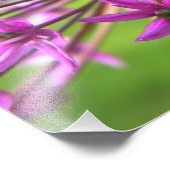 Paarse ventilatorfotografie foto afdruk (Hoek)