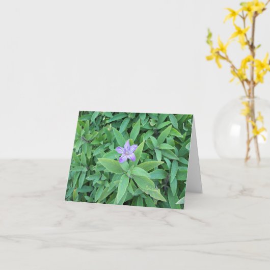 Paarse ventilatorkaart kaart (Gele Bloem)