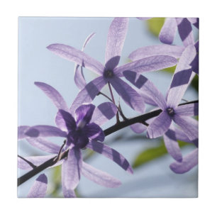 Paarse ventilatorkeramische tegels tegeltje