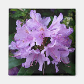 Paarse ventilatormagneet magneet (Voorkant)