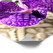 Paarse ventilatormotor orchidee tropisch Plant Poster (Hoek)