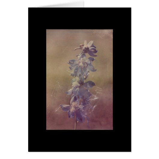  Paarse ventilatorriem (Voorkant)