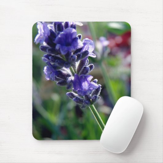 Paarse ventilatorspike muismat (Met muis)