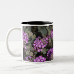 Paarse Verbena Coachella Valley Wildlife Preserve Tweekleurige Koffiemok