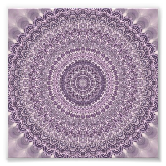 Paarse veren mandala foto afdruk (Voorkant)