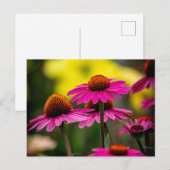 Paarse verklikstof briefkaart (Voorkant / Achterkant)