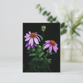 Paarse verklikstof briefkaart (Staand voorkant)