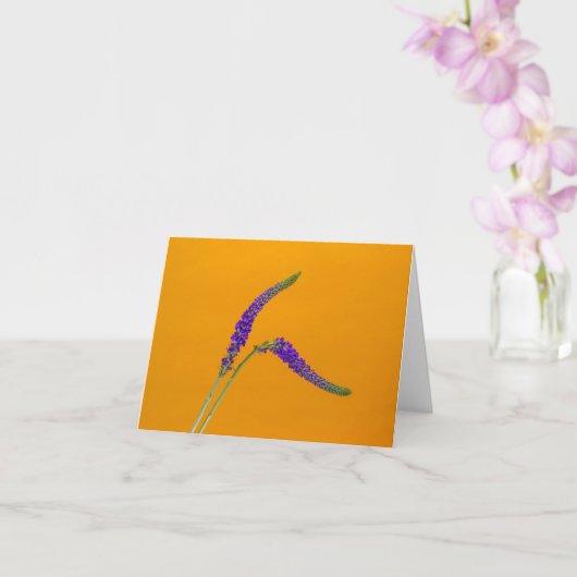 Paarse Veronicas-Wenskaart Kaart (Orchidee)