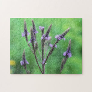Paarse Vervain Wildflower Foto schilderen Legpuzzel