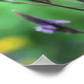 Paarse Vervain Wildflower Foto schilderen Poster (Hoek)