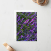 Paarse Vetch Flowers Notitiekaartje (Voorkant / Achterkant in situ)
