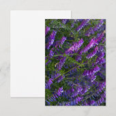 Paarse Vetch Flowers Notitiekaartje (Voorkant / Achterkant)