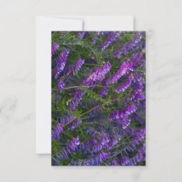 Paarse Vetch Flowers Notitiekaartje