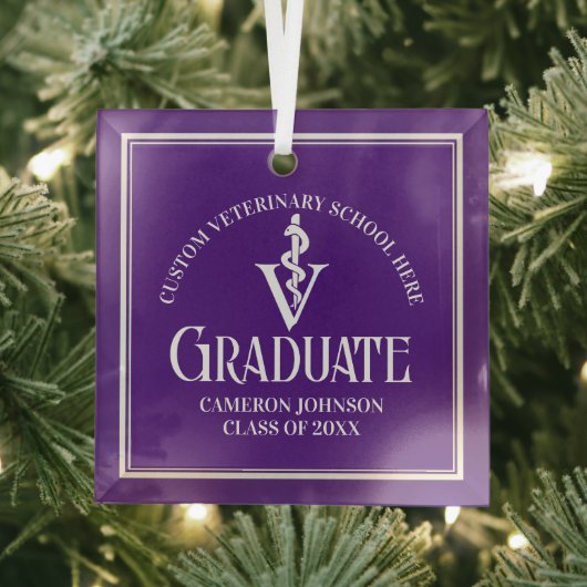 Paarse Veterinaire School Afstuderen Kerst Glas Ornament (Insitu)
