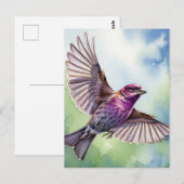 Paarse Vink in vlucht Briefkaart (Voorkant / Achterkant)