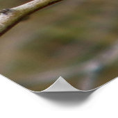 Paarse vinkafdruk poster (Hoek)