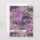 Paarse vinken, Lilacs - NH State Bird and Flower Briefkaart (Voorkant / Achterkant)