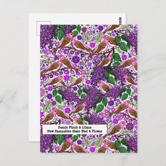 Paarse vinken, Lilacs - NH State Bird and Flower Briefkaart (Voorkant / Achterkant)