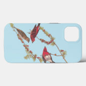 Paarse vinken van Audubon Case-Mate iPhone Case (Achterkant (horizontaal))