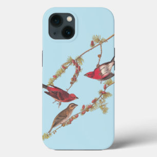 Paarse vinken van Audubon Case-Mate iPhone Case