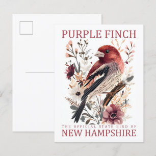 Paarse vinkenvogel van New Hampshire USA Reizen Briefkaart