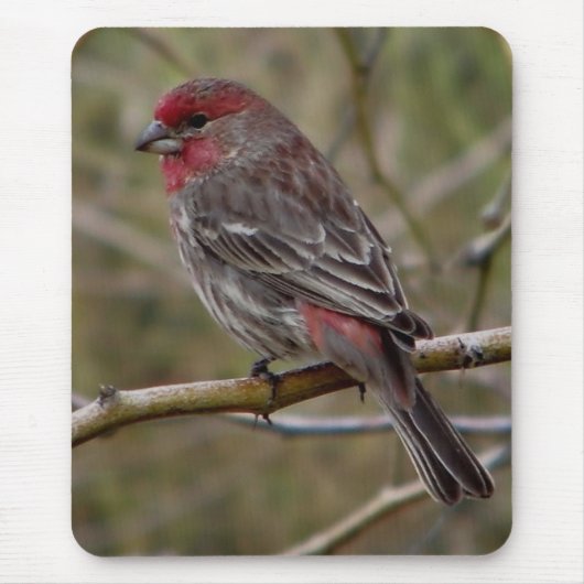 Paarse vinkmagneet muismat (Voorkant)