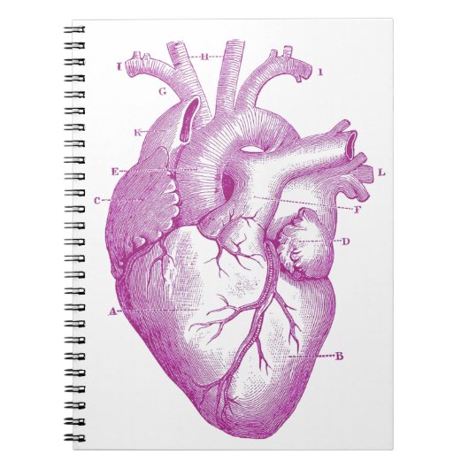 Paarse Vintage Hart Anatomie Notitieboek (Voorkant)