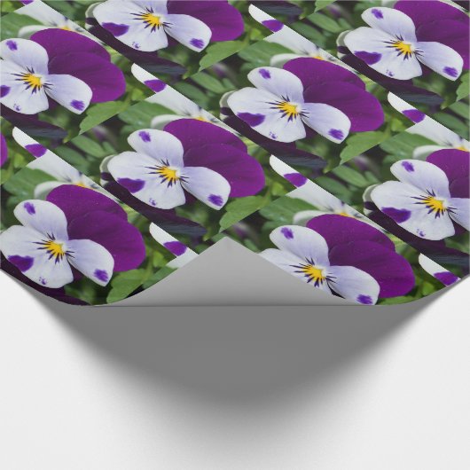 Paarse Viola Cadeaupapier (Hoek)