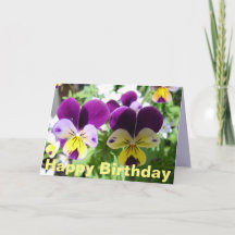 Paarse Viola Drie Violetjes Mooie Bloem bloemkaart